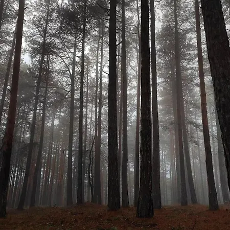 Apartment Zlatiborski Cvet