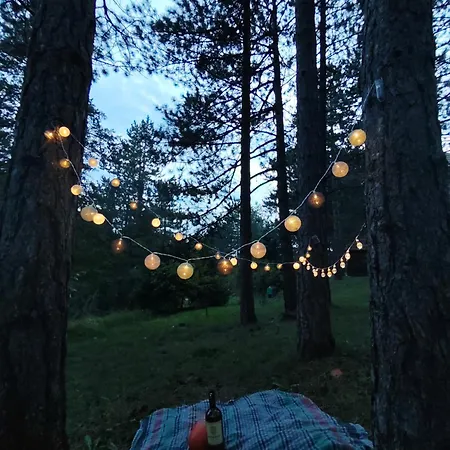 Zlatiborski Cvet Apartment Zlatibor